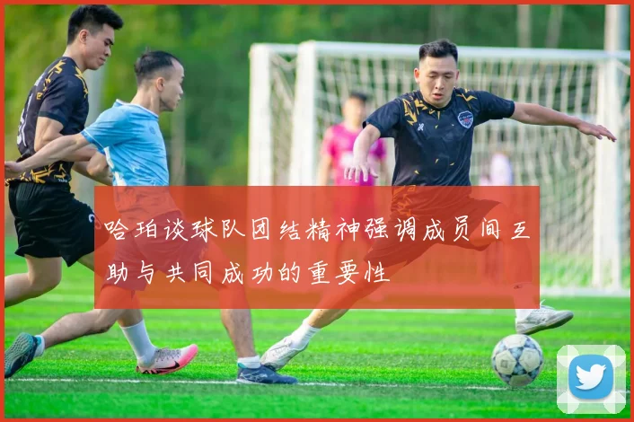 哈珀谈球队团结精神强调成员间互助与共同成功的重要性