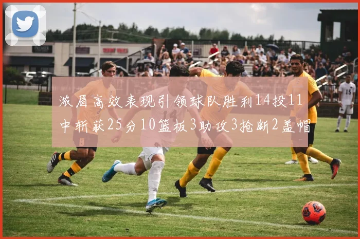 浓眉高效表现引领球队胜利14投11中斩获25分10篮板3助攻3抢断2盖帽