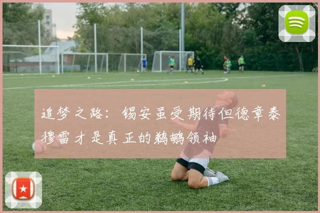 追梦之路：锡安虽受期待但德章泰穆雷才是真正的鹈鹕领袖