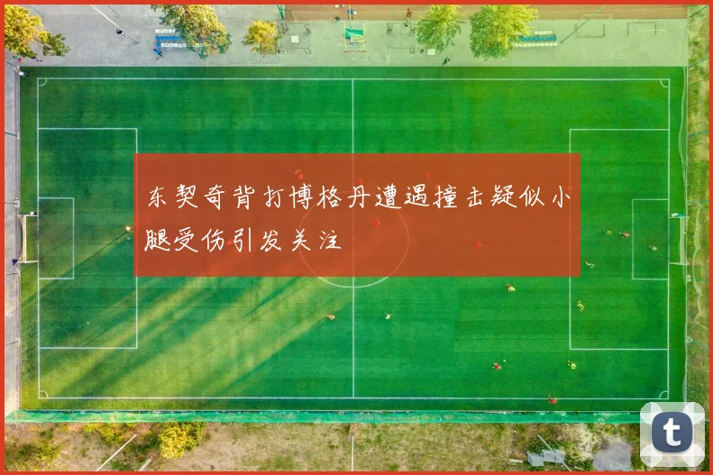东契奇背打博格丹遭遇撞击疑似小腿受伤引发关注